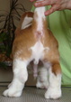 Enlarge photo 24