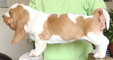 Enlarge photo 28