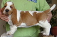 Enlarge photo 32