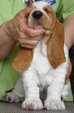 Enlarge photo 37