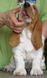 Enlarge photo 38