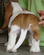 Enlarge photo 39