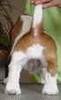 Enlarge photo 40