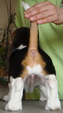 Enlarge photo 47