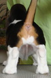 Enlarge photo 48