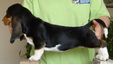 Enlarge photo 49