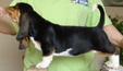 Enlarge photo 52