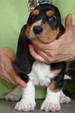 Enlarge photo 53
