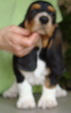 Enlarge photo 54