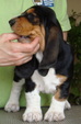 Enlarge photo 55