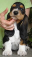 Enlarge photo 57