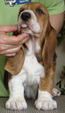 Enlarge photo 67