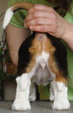Enlarge photo 80