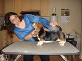 Enlarge photo 18