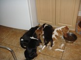 Enlarge photo 27
