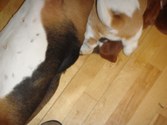 Enlarge photo 47