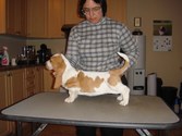 Enlarge photo 7