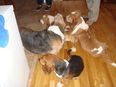 Enlarge photo 16