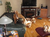 Enlarge photo 17