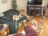 Enlarge photo 18