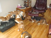 Enlarge photo 19
