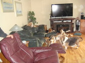Enlarge photo 22