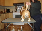 Enlarge photo 7