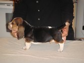 Enlarge photo 2
