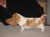 Enlarge photo 30