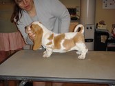 Enlarge photo 15