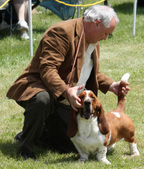 Enlarge photo 102