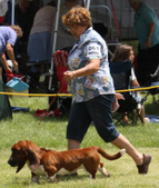 Enlarge photo 104