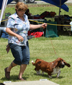Enlarge photo 105