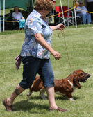 Enlarge photo 106
