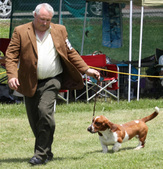 Enlarge photo 107