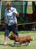 Enlarge photo 108