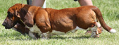 Enlarge photo 115