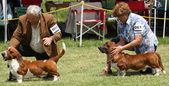 Enlarge photo 116