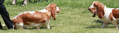 Enlarge photo 131