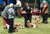 Enlarge photo 135