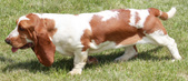 Enlarge photo 8