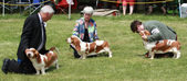 Enlarge photo 17