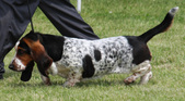 Enlarge photo 30