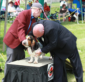Enlarge photo 32