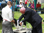 Enlarge photo 41