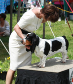 Enlarge photo 45