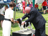 Enlarge photo 48