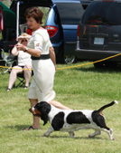 Enlarge photo 53