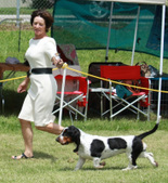 Enlarge photo 54
