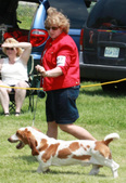 Enlarge photo 59